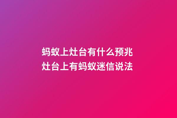 蚂蚁上灶台有什么预兆 灶台上有蚂蚁迷信说法